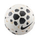 Nike Μπάλα ποδοσφαίρου Pitch FA25 Ball